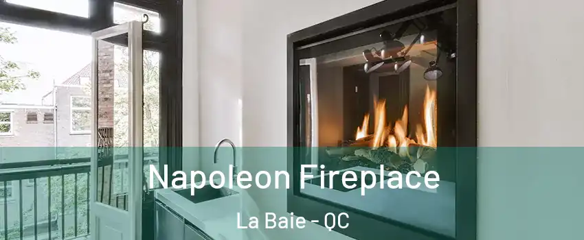  Napoleon Fireplace La Baie - QC