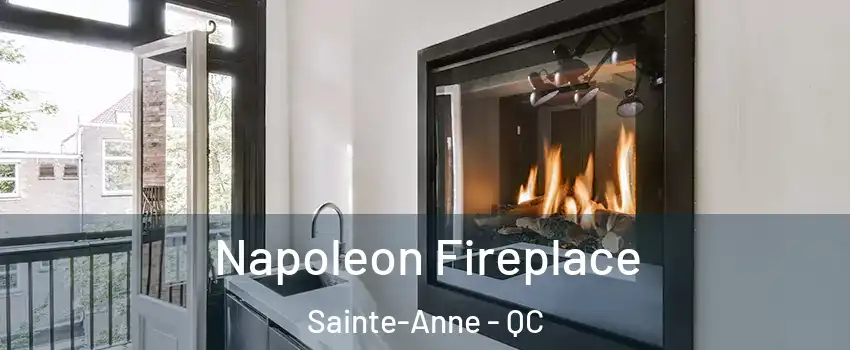  Napoleon Fireplace Sainte-Anne - QC
